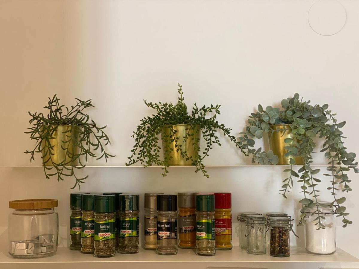 Green Corner Of Bovec - Apartment Bovec Εξωτερικό φωτογραφία